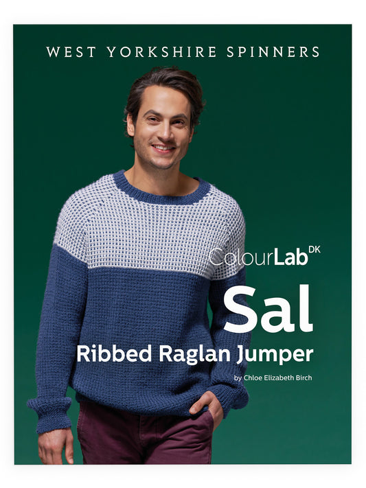 Sal - Ribbed Raglan Jumper Pattern by Chloé Elizabeth Birch