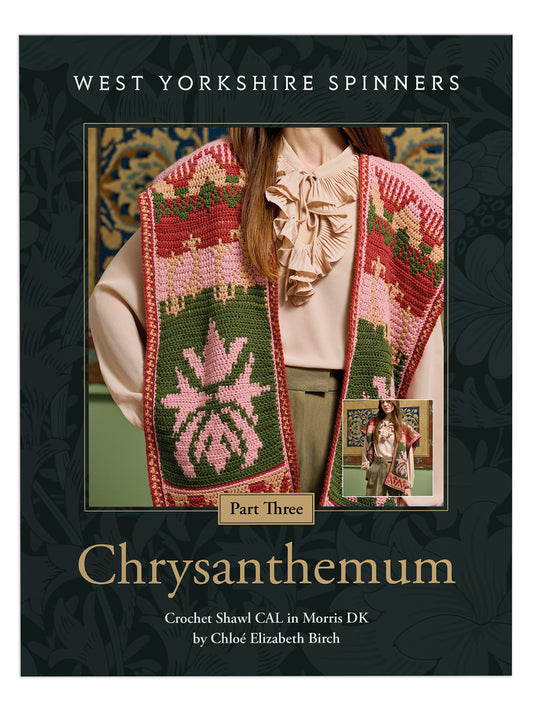 Chrysanthemum - Crochet Shawl Pattern Part 3 by Chloé Elizabeth Birch