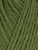 Yew